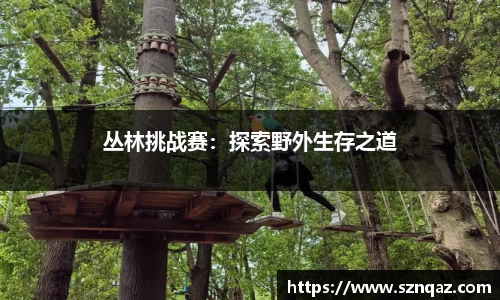 pt真人视讯