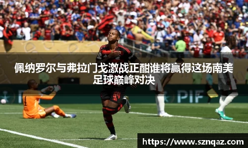 佩纳罗尔与弗拉门戈激战正酣谁将赢得这场南美足球巅峰对决